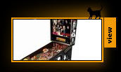 Pinball Machines
